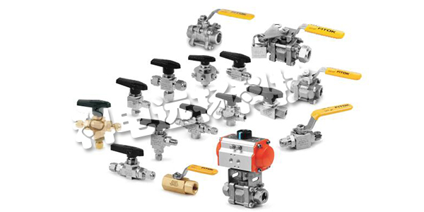 德國(guó)FITOK球閥BFSS-FNS2系列